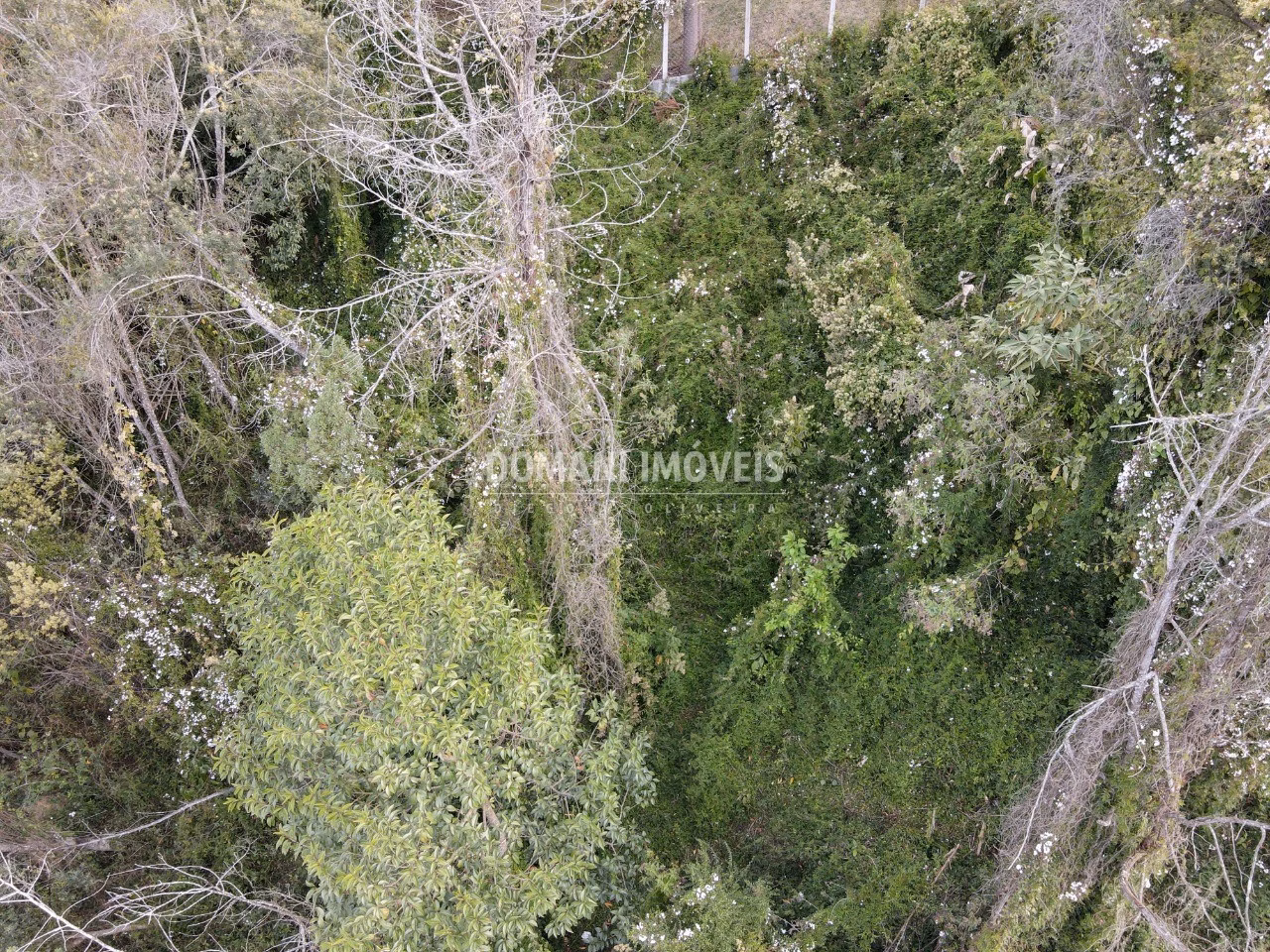 Terreno de 725 m² em Campos do Jordão, SP