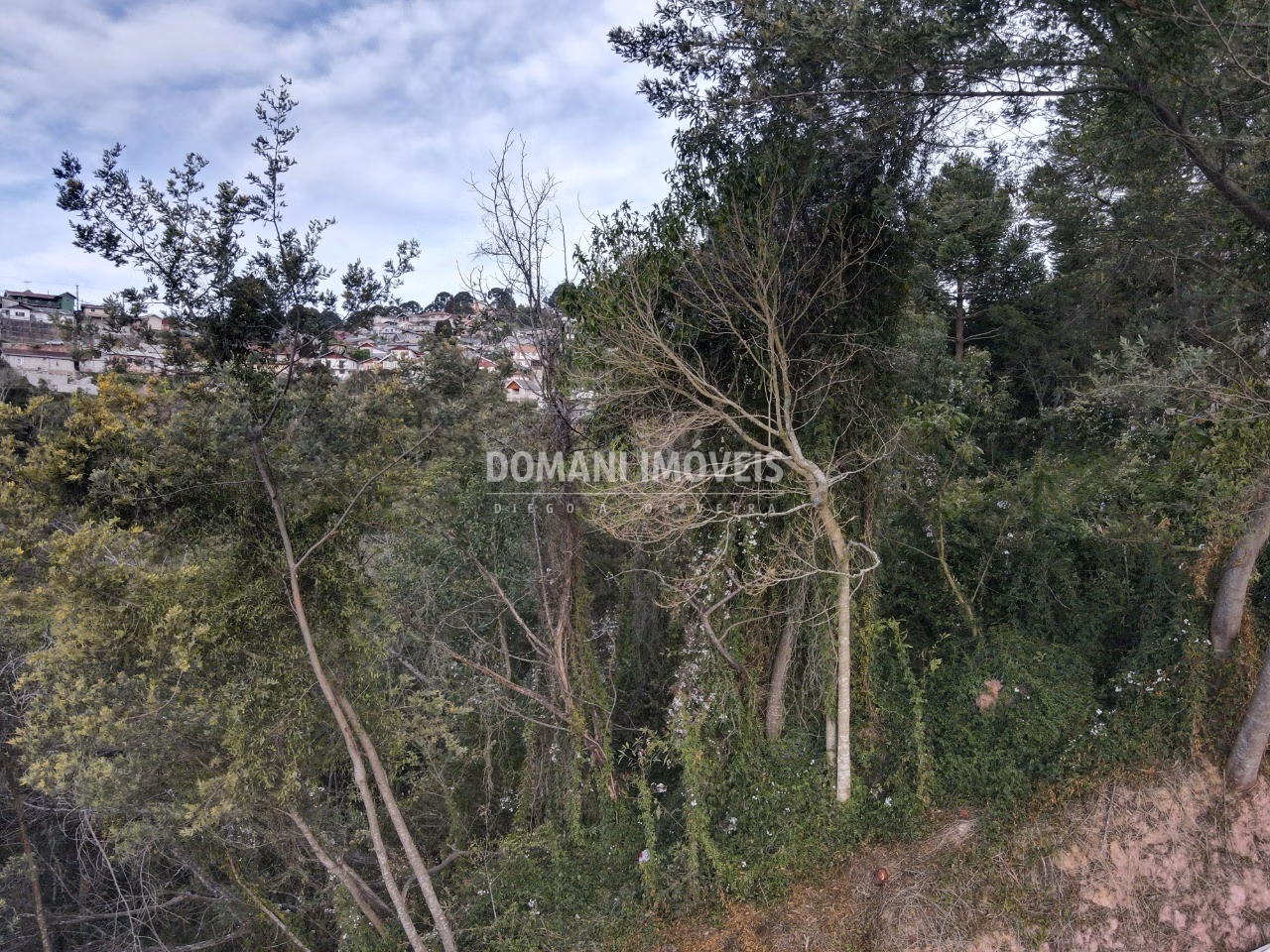 Plot of 725 m² in Campos do Jordão, SP, Brazil