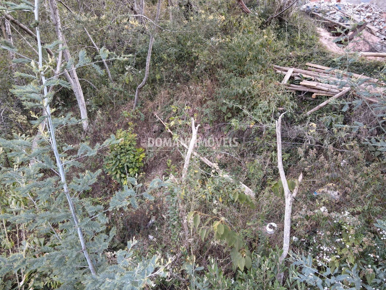 Plot of 725 m² in Campos do Jordão, SP, Brazil