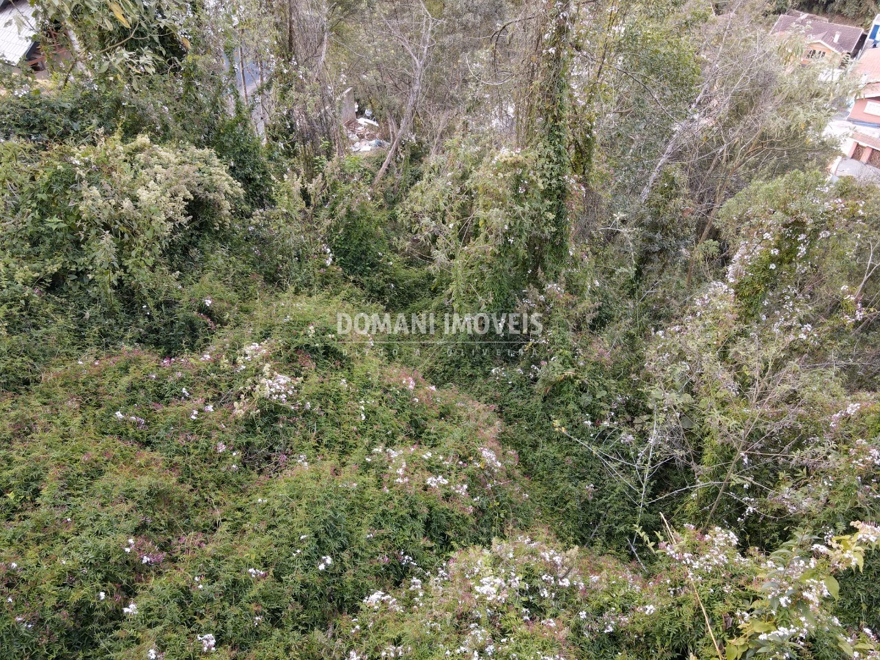 Plot of 725 m² in Campos do Jordão, SP, Brazil