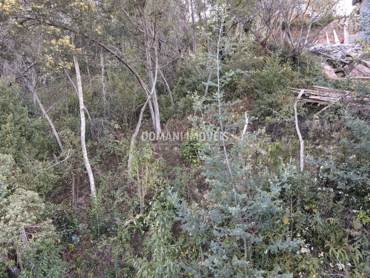 Plot of 725 m² in Campos do Jordão, SP, Brazil