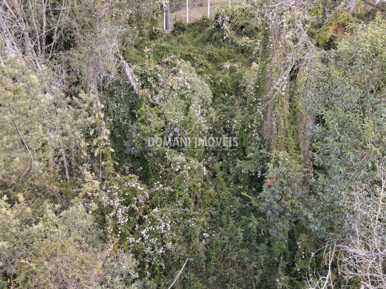 Plot of 725 m² in Campos do Jordão, SP, Brazil