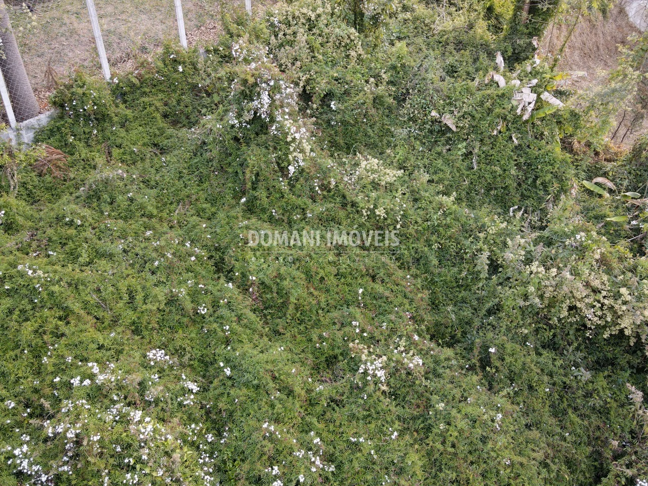 Plot of 725 m² in Campos do Jordão, SP, Brazil