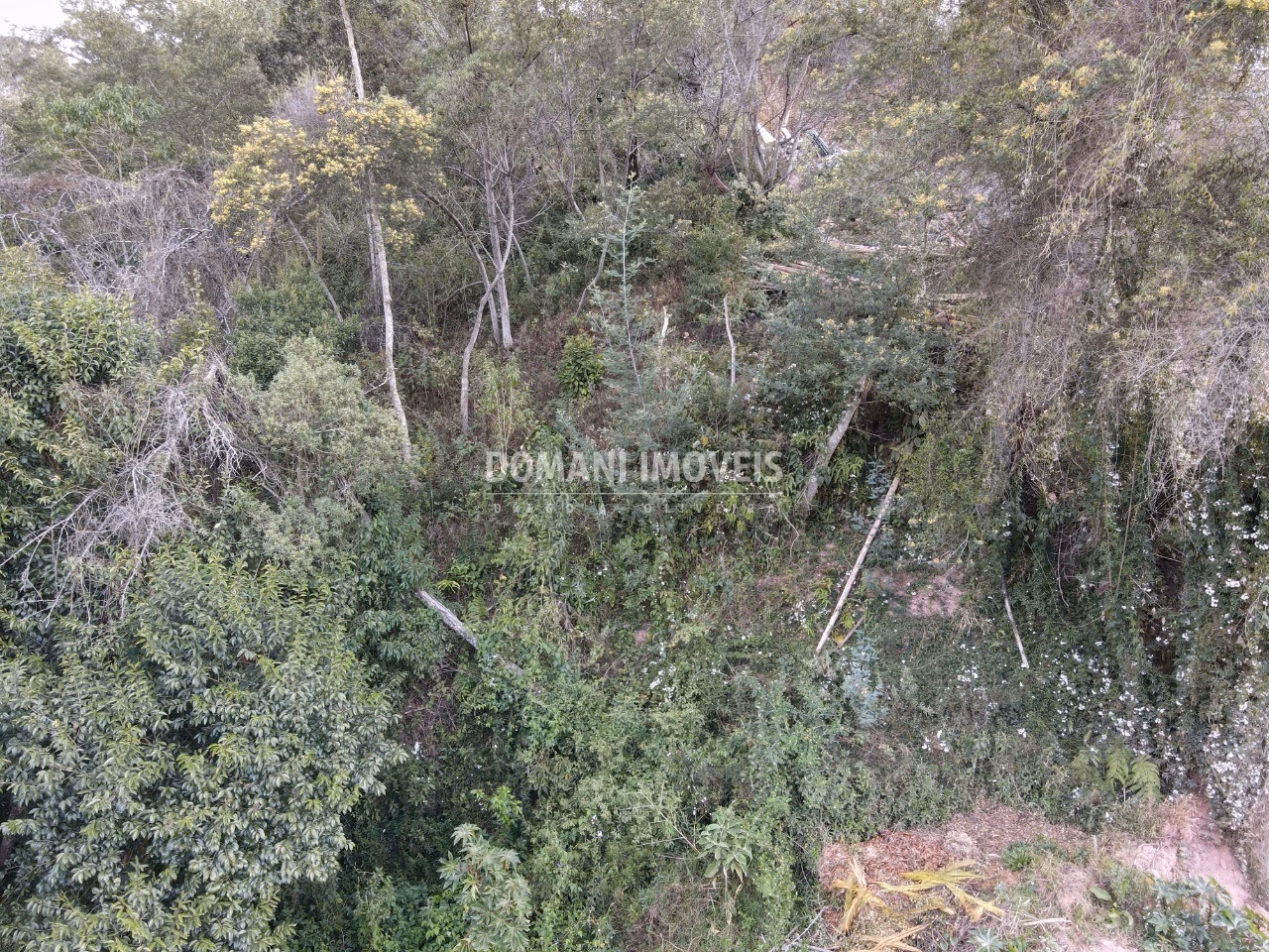 Plot of 725 m² in Campos do Jordão, SP, Brazil