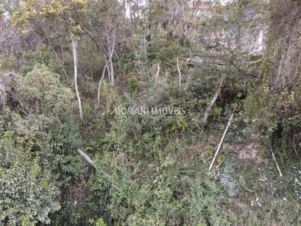 Plot of 725 m² in Campos do Jordão, SP, Brazil