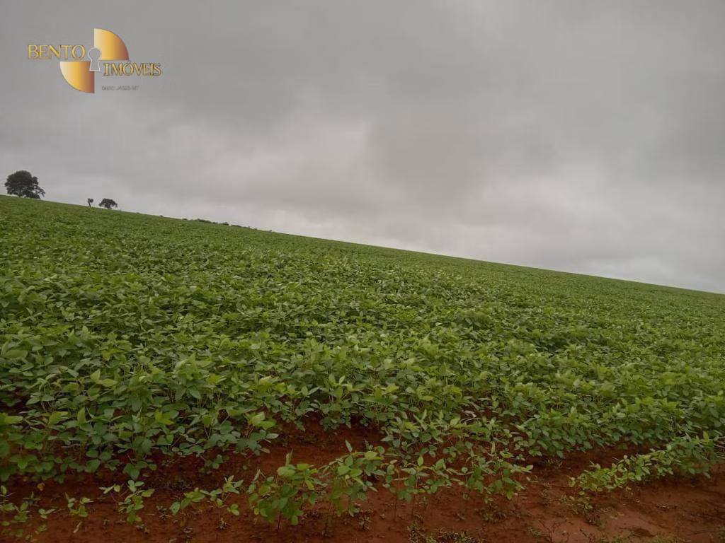 Fazenda de 5.703 ha em Paranatinga, MT