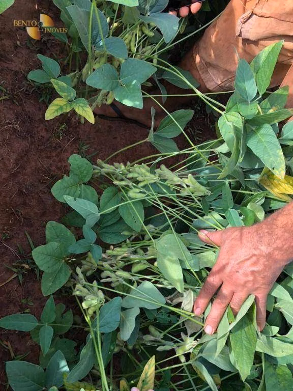 Fazenda de 5.703 ha em Paranatinga, MT