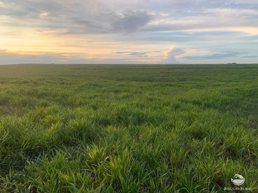 Fazenda de 1.080 ha em Mineiros, GO