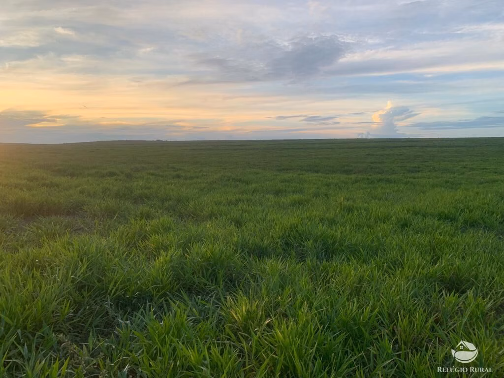 Fazenda de 1.080 ha em Mineiros, GO