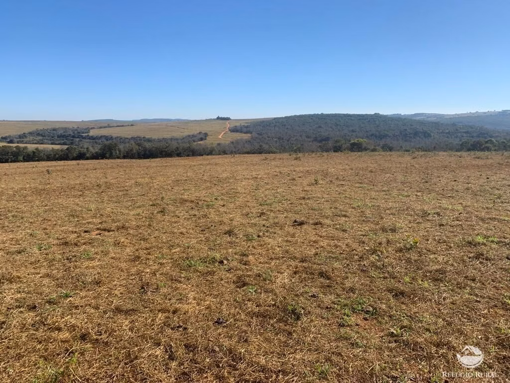 Fazenda de 1.080 ha em Mineiros, GO