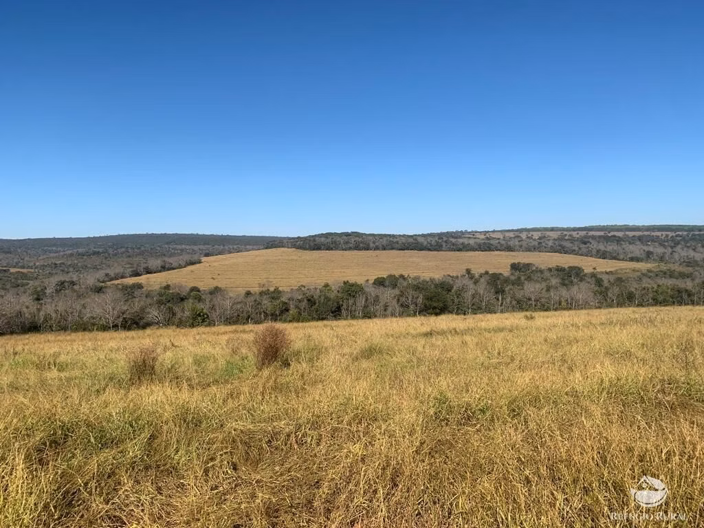 Fazenda de 1.080 ha em Mineiros, GO