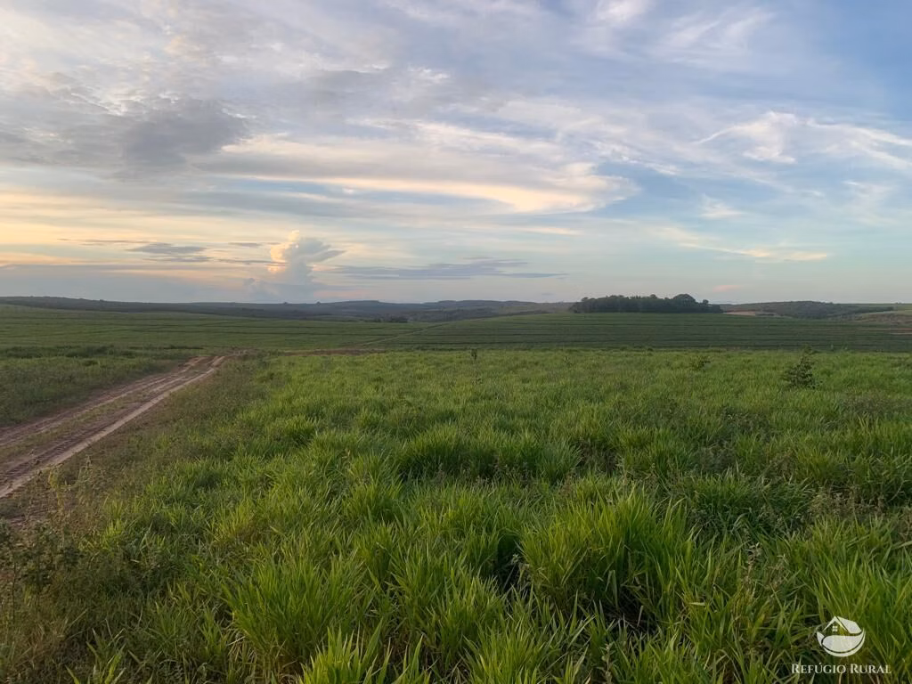 Fazenda de 1.080 ha em Mineiros, GO