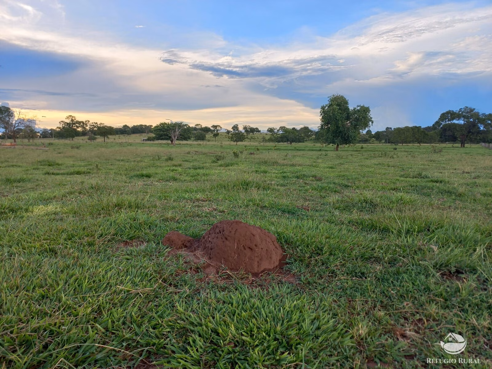Fazenda de 142 ha em Figueirão, MS