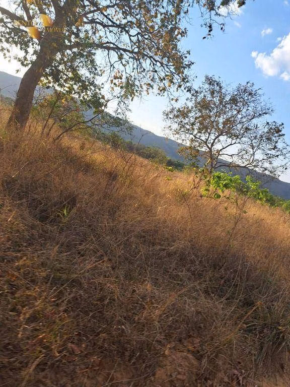 Farm of 2,965 acres in Rosário Oeste, MT, Brazil