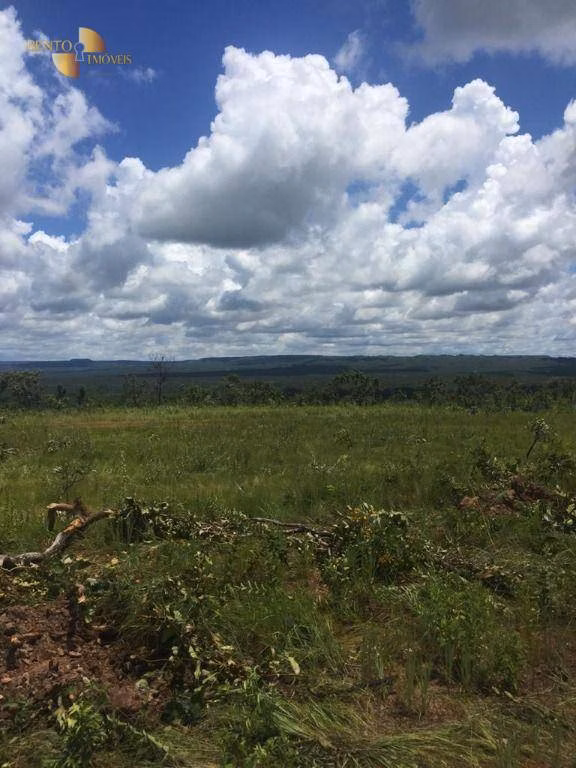 Farm of 5,174 acres in Santa Rita do Trivelato, MT, Brazil