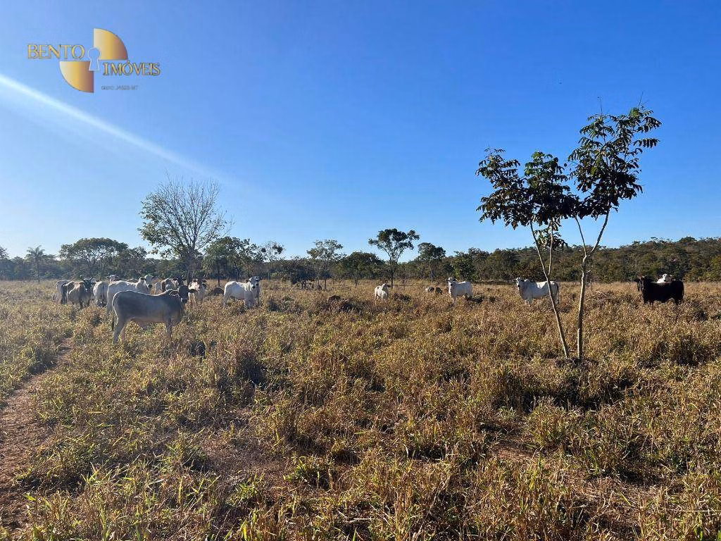 Farm of 5,174 acres in Santa Rita do Trivelato, MT, Brazil