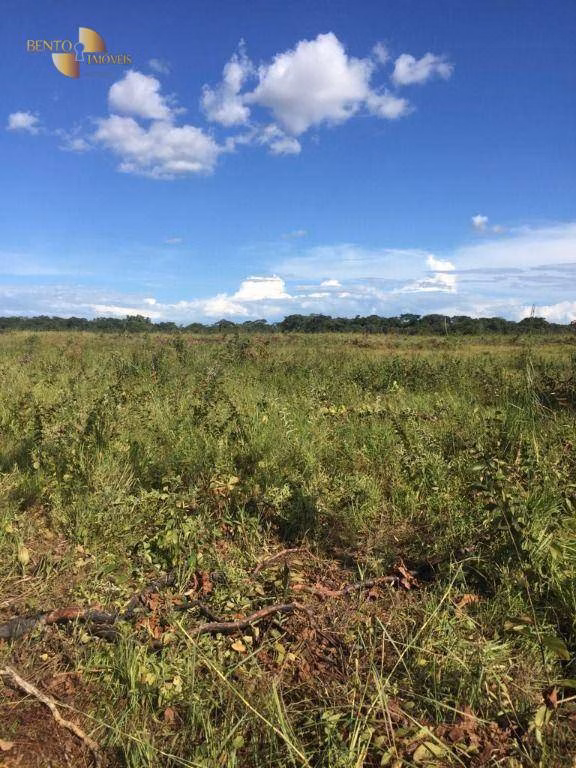Farm of 5,174 acres in Santa Rita do Trivelato, MT, Brazil