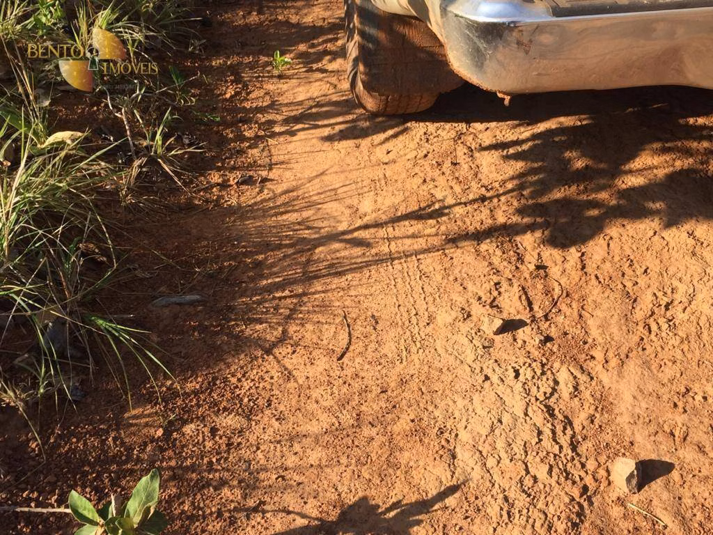 Farm of 5,174 acres in Santa Rita do Trivelato, MT, Brazil