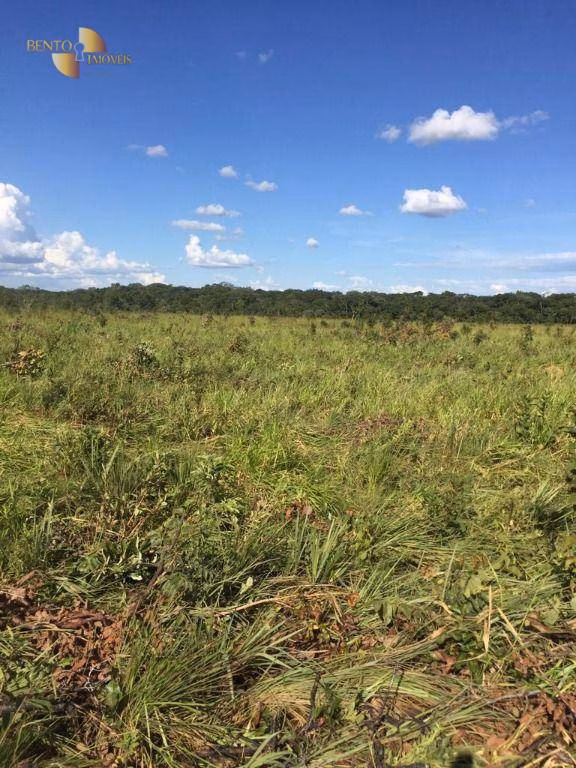 Farm of 5,174 acres in Santa Rita do Trivelato, MT, Brazil