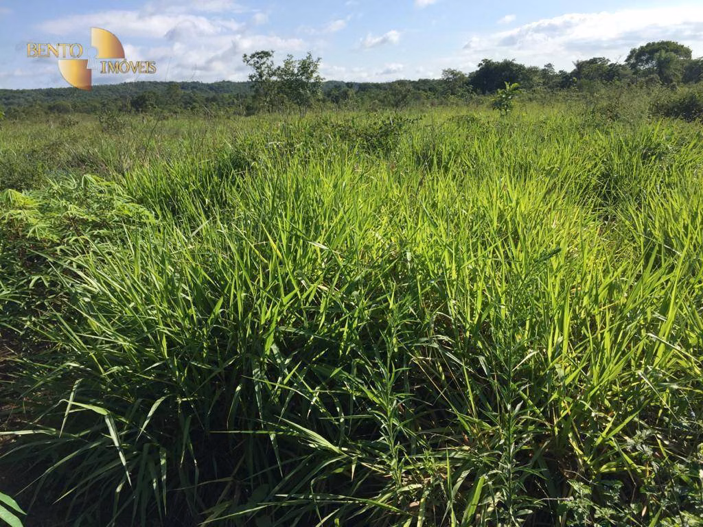 Farm of 5,174 acres in Santa Rita do Trivelato, MT, Brazil