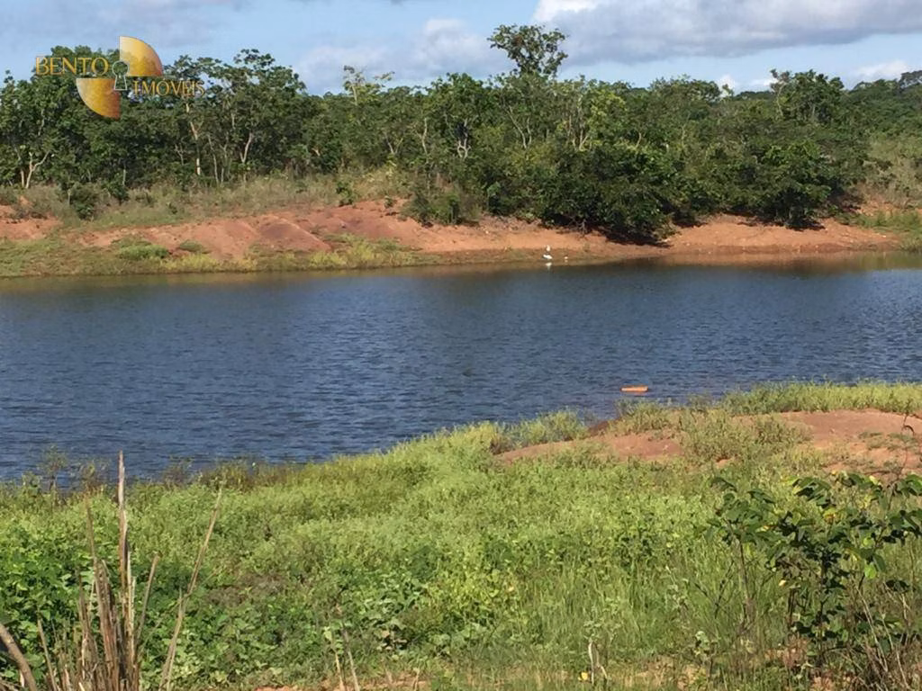 Farm of 5,174 acres in Santa Rita do Trivelato, MT, Brazil