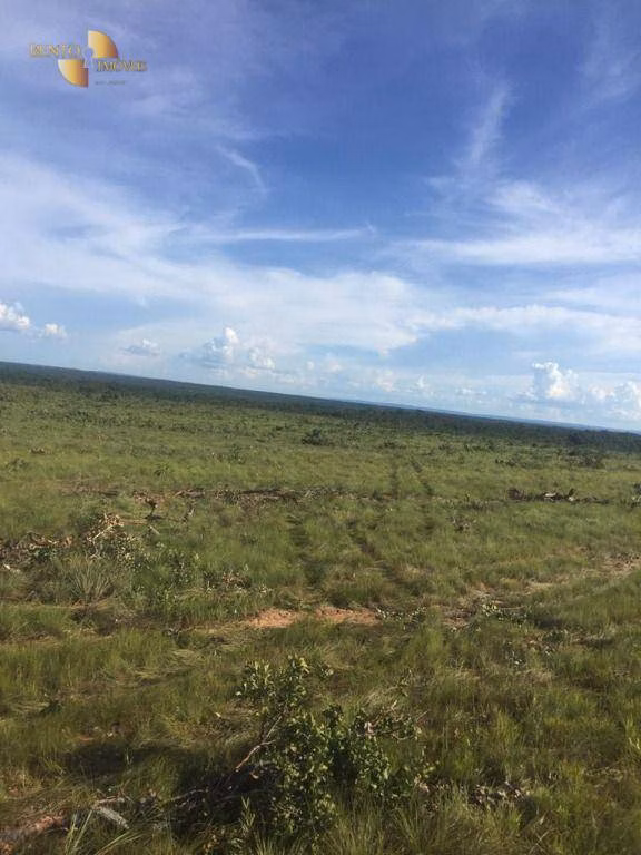 Farm of 5,174 acres in Santa Rita do Trivelato, MT, Brazil