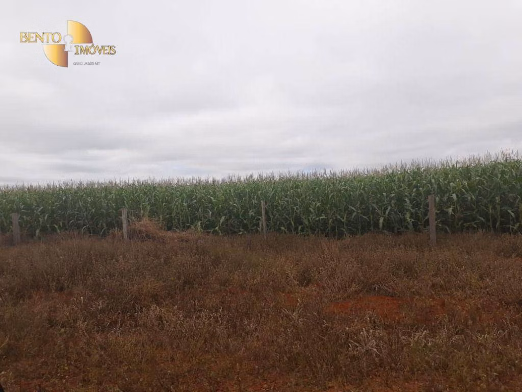 Fazenda de 1.830 ha em Brasnorte, MT