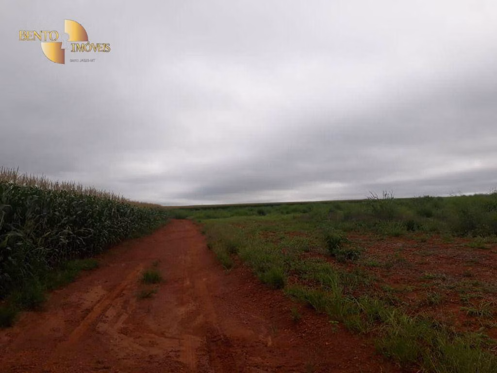 Fazenda de 1.830 ha em Brasnorte, MT