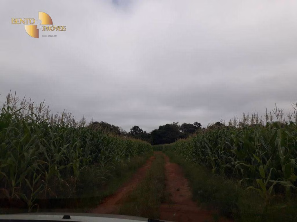 Fazenda de 1.830 ha em Brasnorte, MT