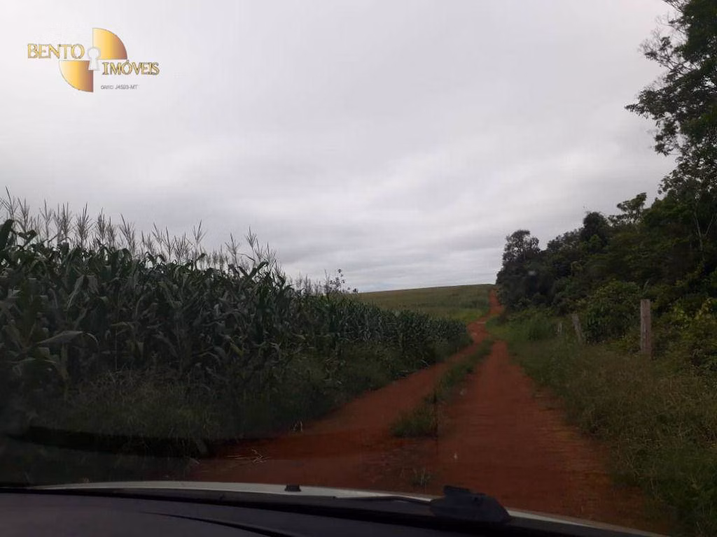 Fazenda de 1.830 ha em Brasnorte, MT