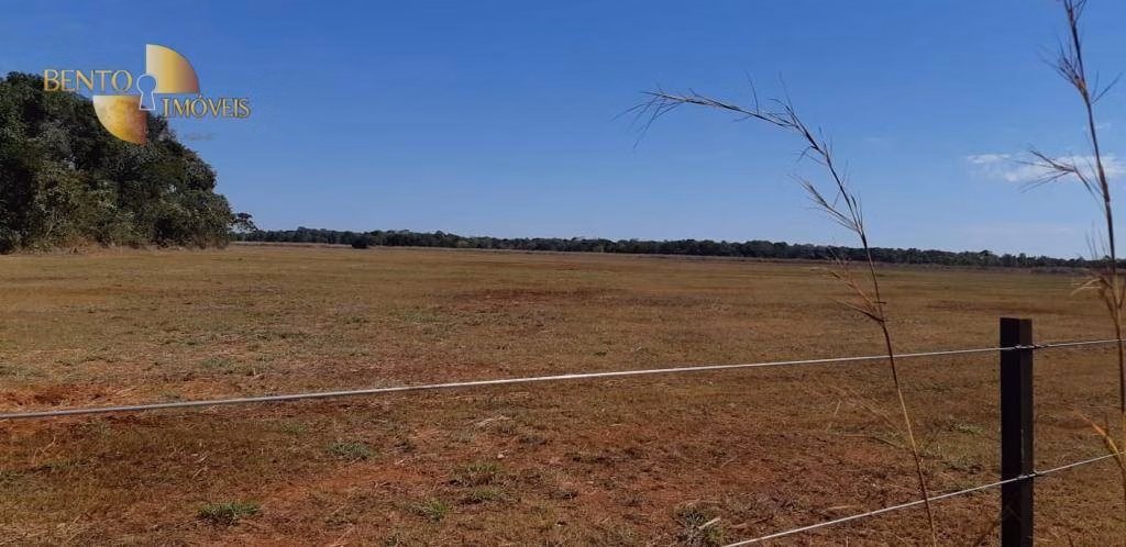 Fazenda de 332 ha em Acorizal, MT