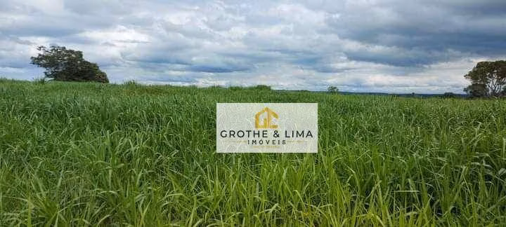 Farm of 10.620 acres in Colinas do Tocantins, TO, Brazil