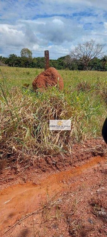 Farm of 10.620 acres in Colinas do Tocantins, TO, Brazil