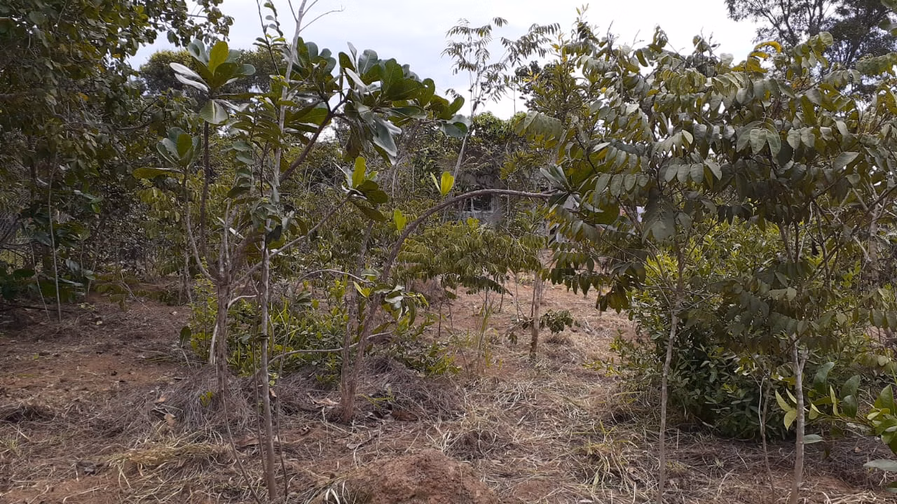 Plot of 1.000 m² in Cavalcante, GO, Brazil