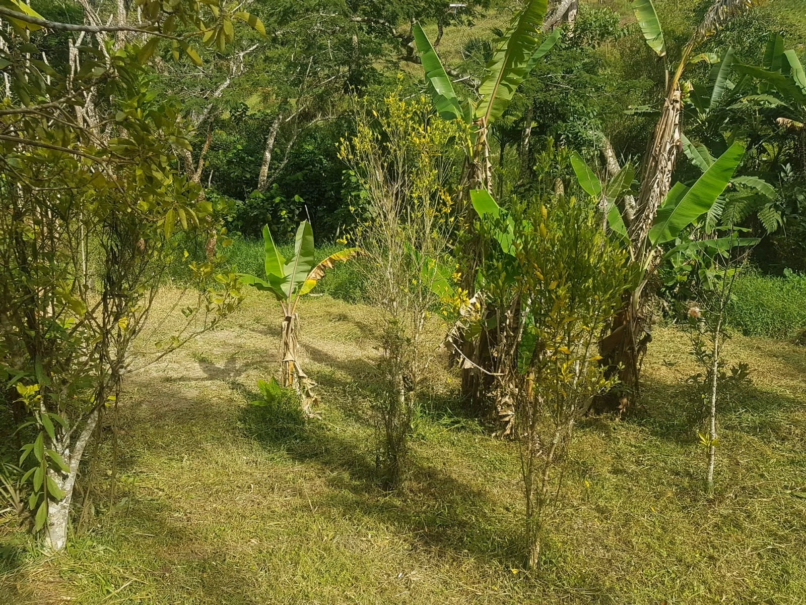 Chácara de 2.000 m² em São José dos Campos, SP