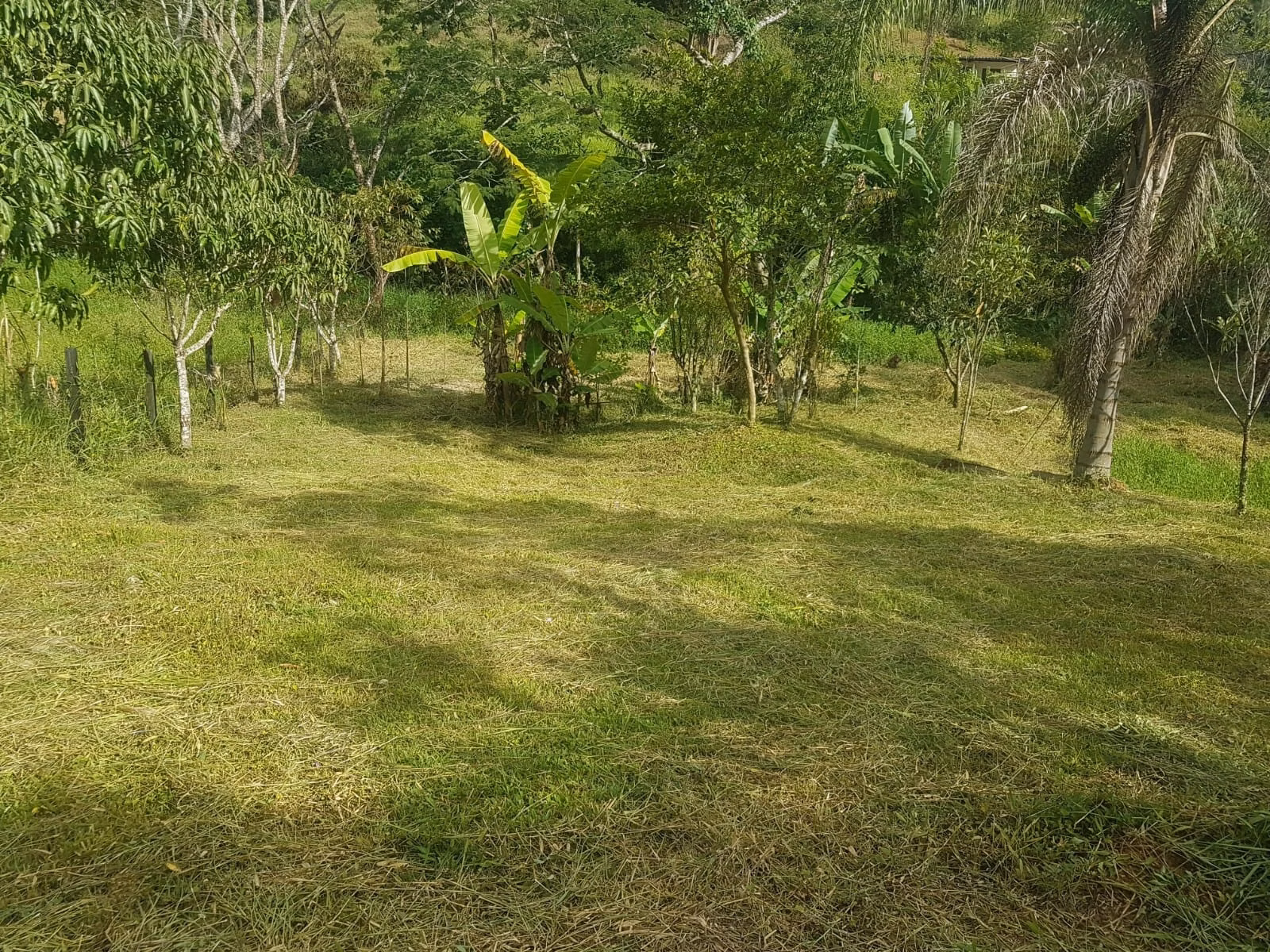 Chácara de 2.000 m² em São José dos Campos, SP