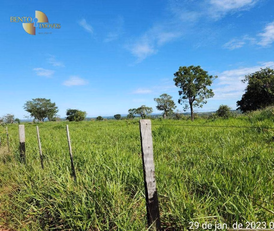 Fazenda de 1.162 ha em Guiratinga, MT