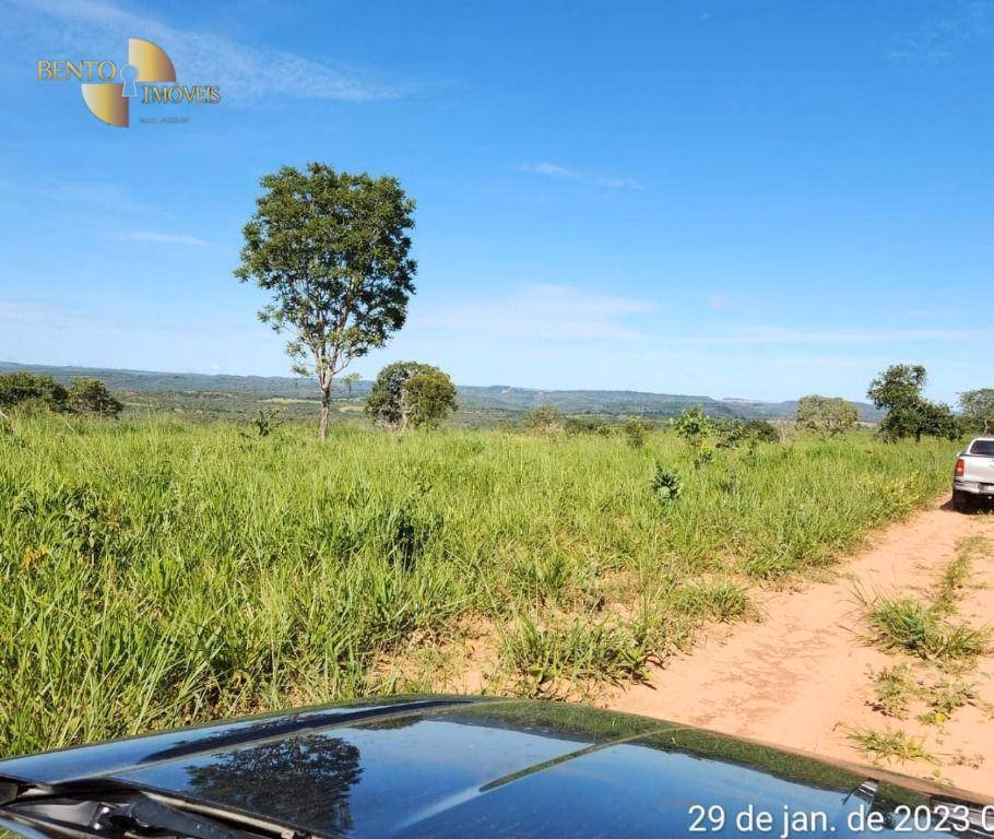 Fazenda de 1.162 ha em Guiratinga, MT