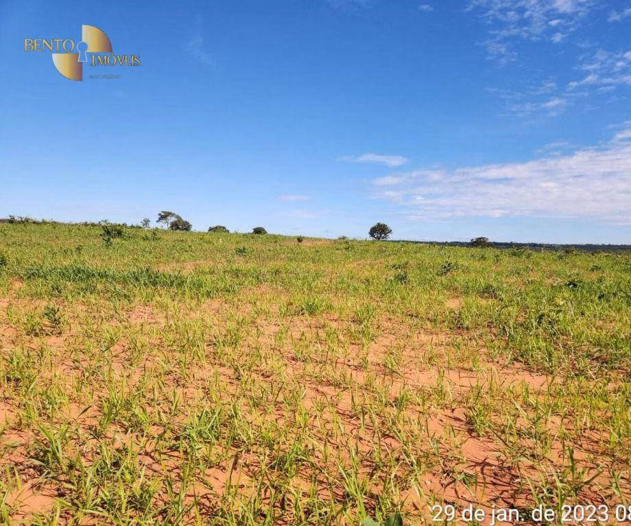 Fazenda de 1.162 ha em Guiratinga, MT