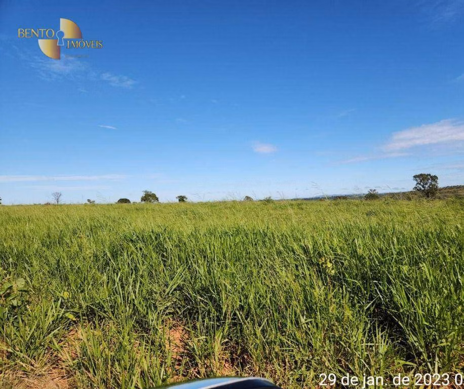 Fazenda de 1.162 ha em Guiratinga, MT