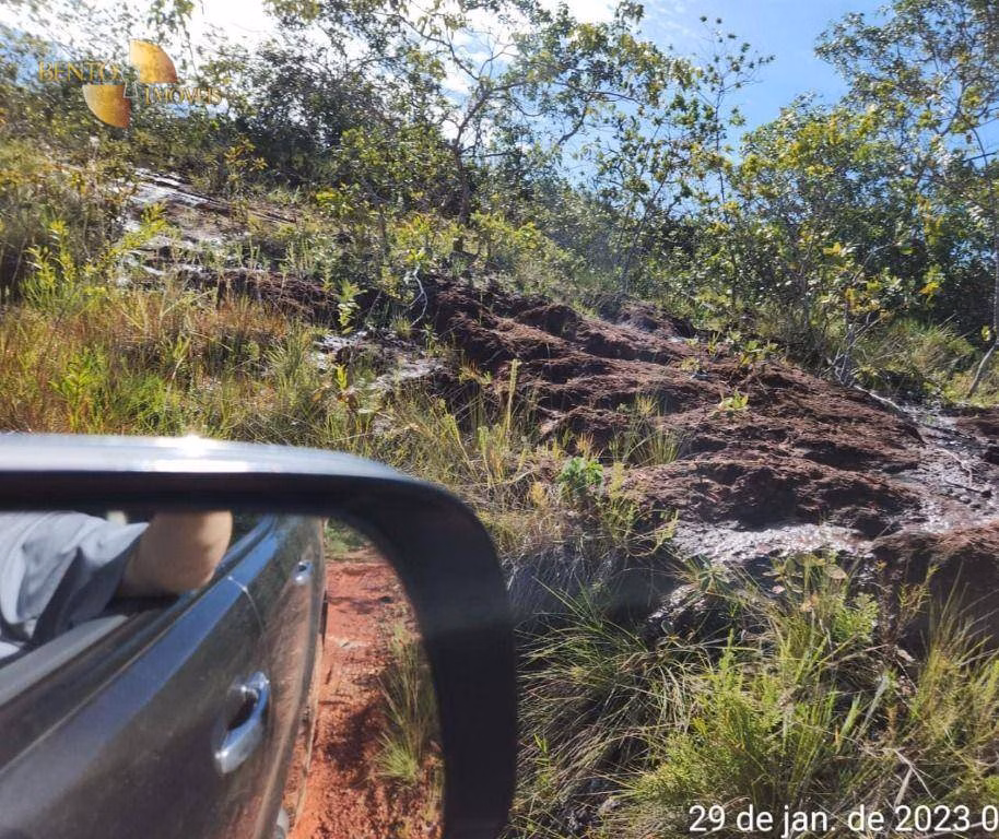 Fazenda de 1.162 ha em Guiratinga, MT