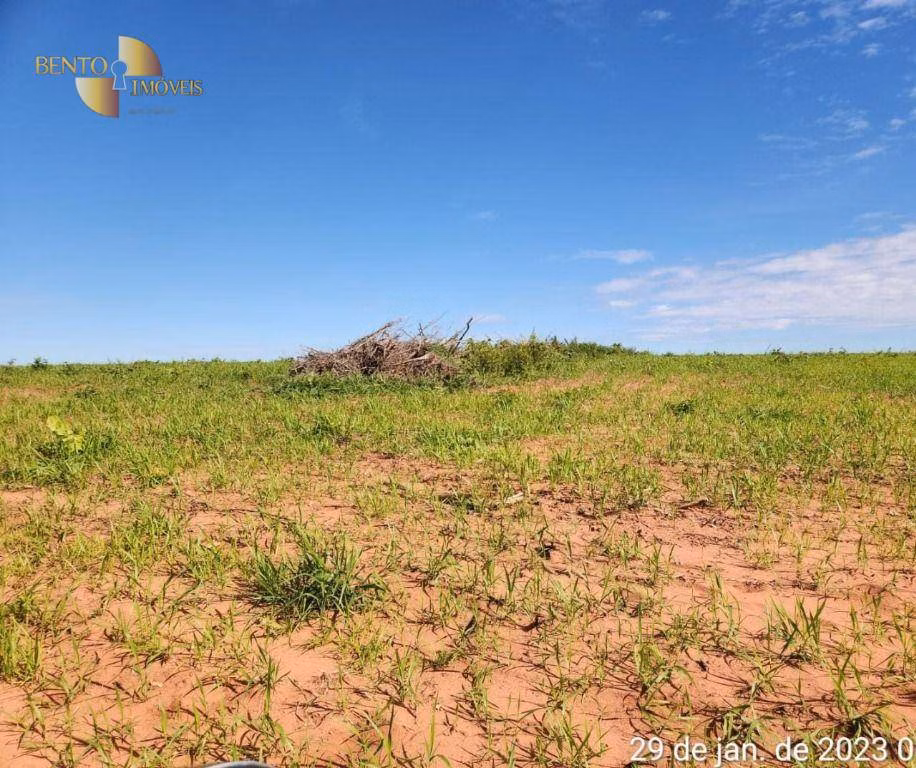 Fazenda de 1.162 ha em Guiratinga, MT