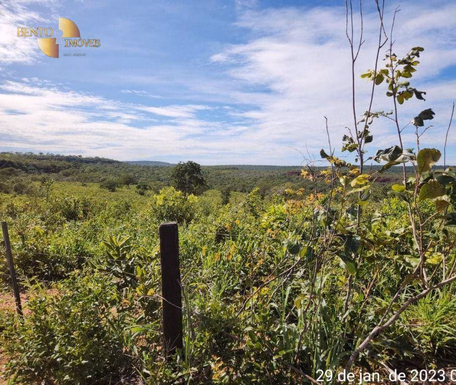 Fazenda de 1.162 ha em Guiratinga, MT