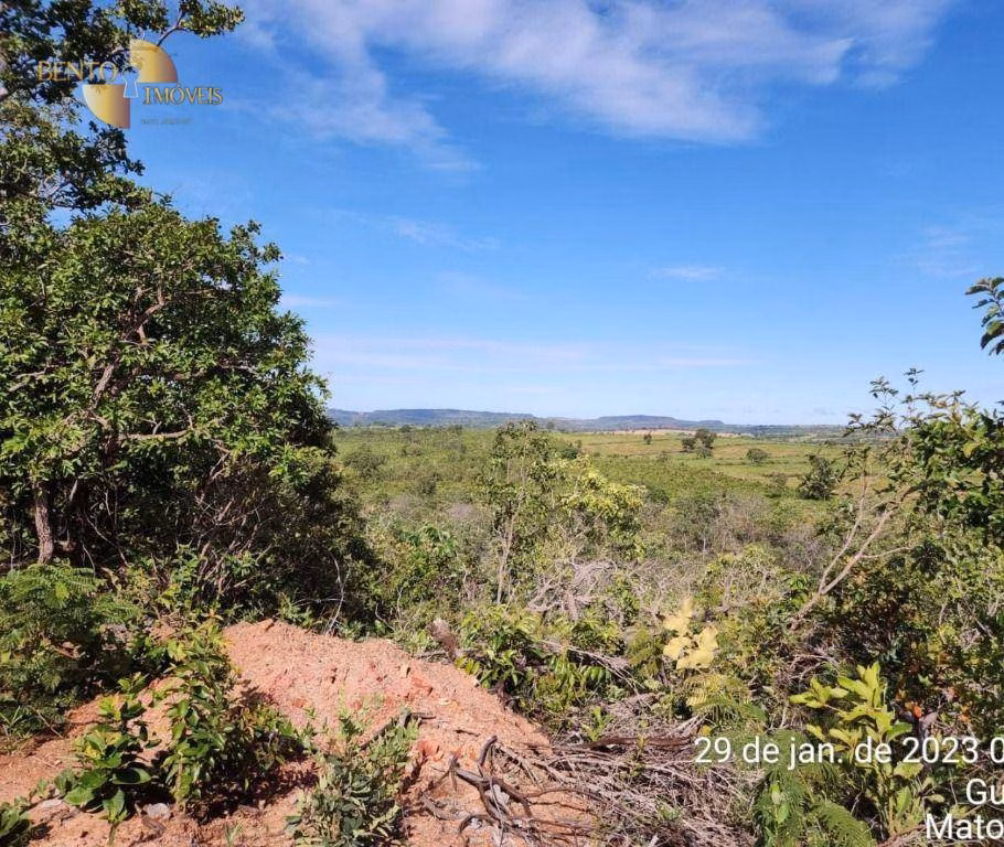 Fazenda de 1.162 ha em Guiratinga, MT