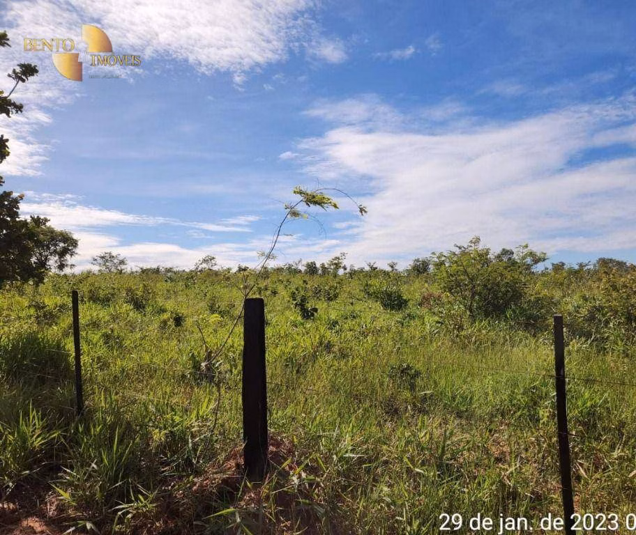 Fazenda de 1.162 ha em Guiratinga, MT