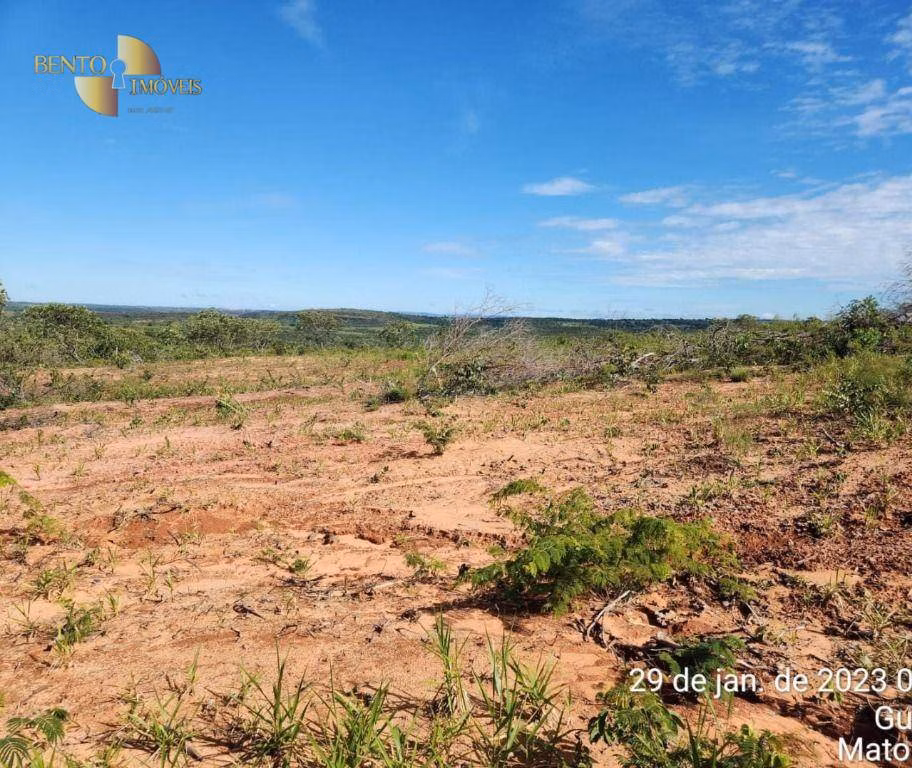 Fazenda de 1.162 ha em Guiratinga, MT