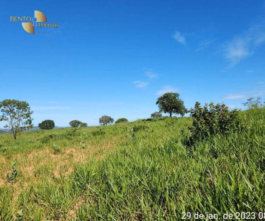 Fazenda de 1.162 ha em Guiratinga, MT