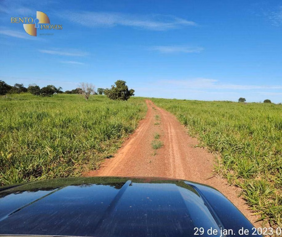 Fazenda de 1.162 ha em Guiratinga, MT