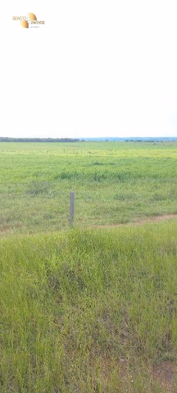 Farm of 3,904 acres in Santa Rita do Trivelato, MT, Brazil