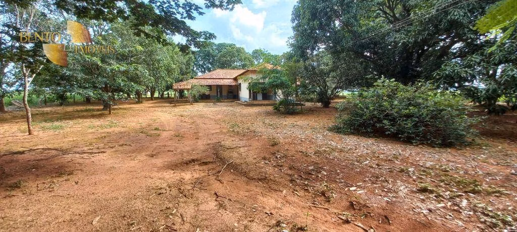 Farm of 3,904 acres in Santa Rita do Trivelato, MT, Brazil